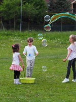 /album/a131/p1010202-small-jpg2/